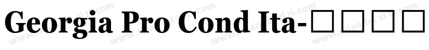 Georgia Pro Cond Ita字体转换